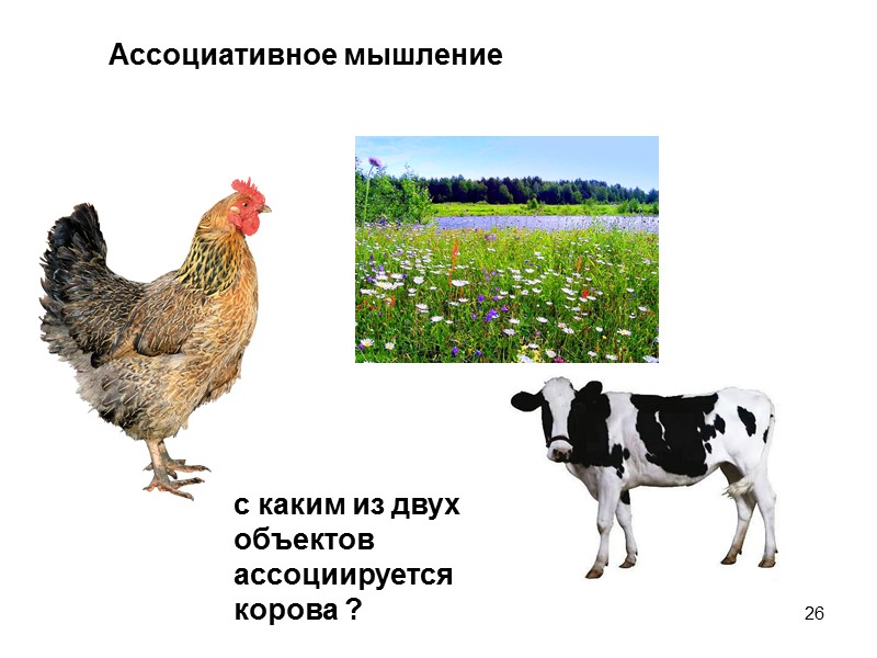 26 с каким из двух объектов  ассоциируется корова ? Ассоциативное мышление